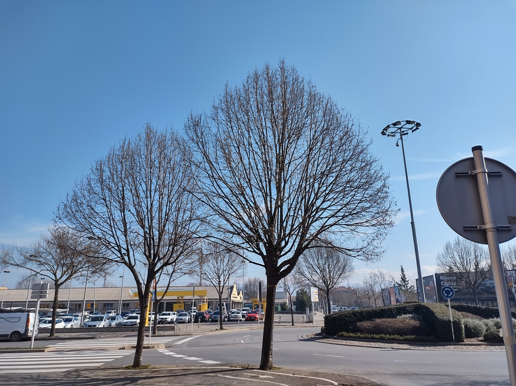 No s'ha trobat l'arxiu